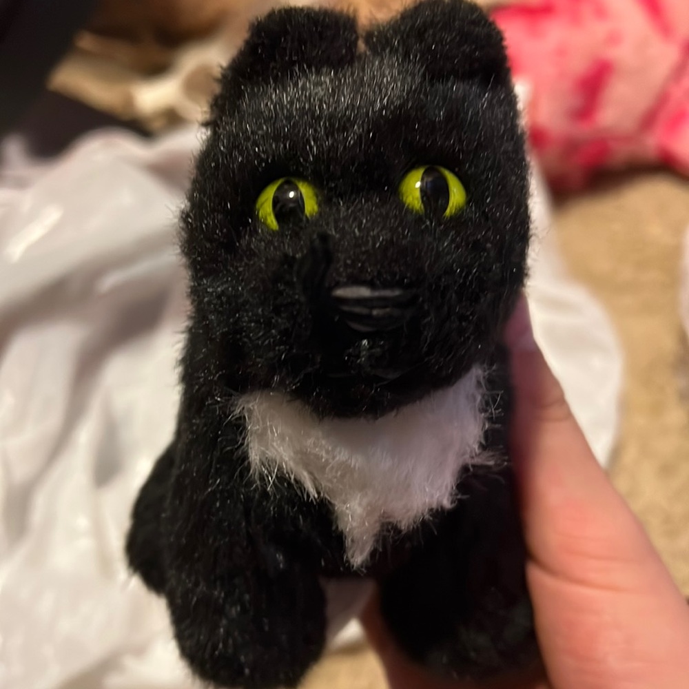 American girl doll cat New Caroline’s Cat Inkpot
